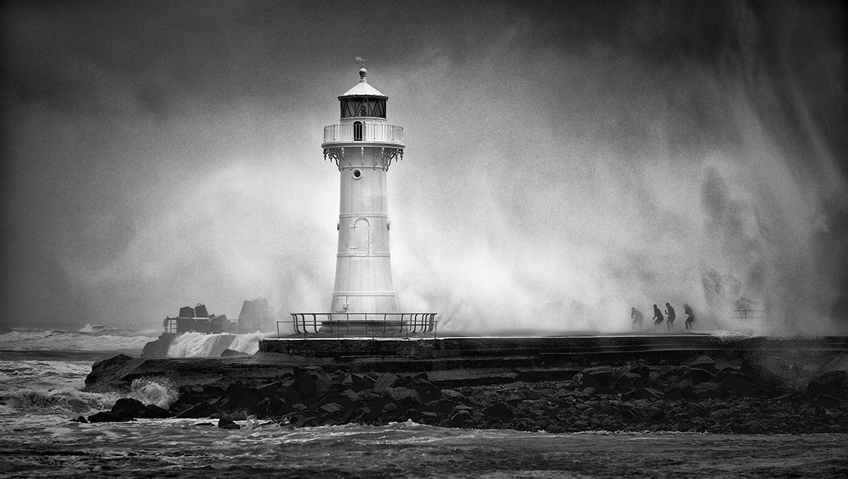 &copy; Flavio R. Spedalieri